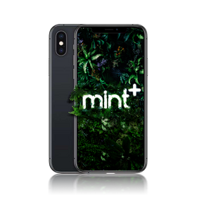 iPhone XS