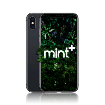 iPhone XS