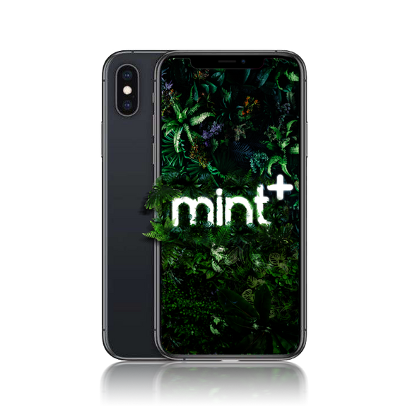 iPhone XS