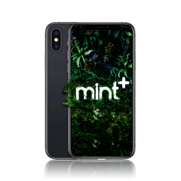 iPhone XS