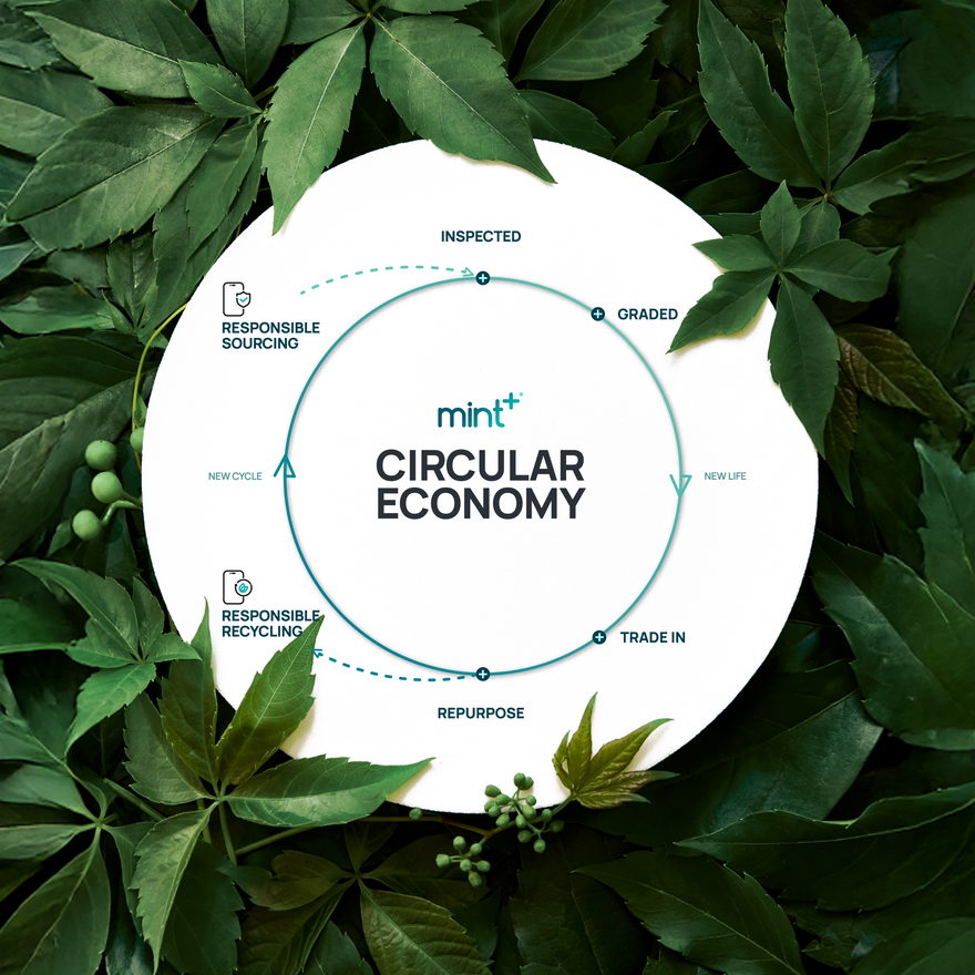 Mint uk collection pages about us image   ce 01